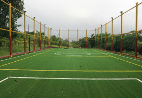 Heavy Motorized Pitch Roller